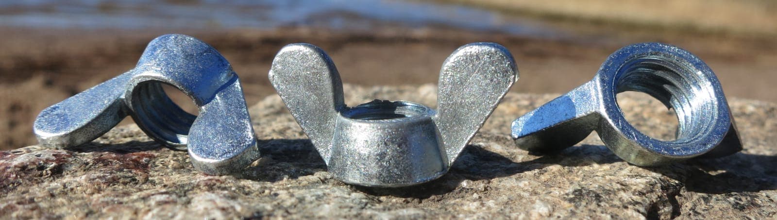 A Wing nut, photographed for identification practice