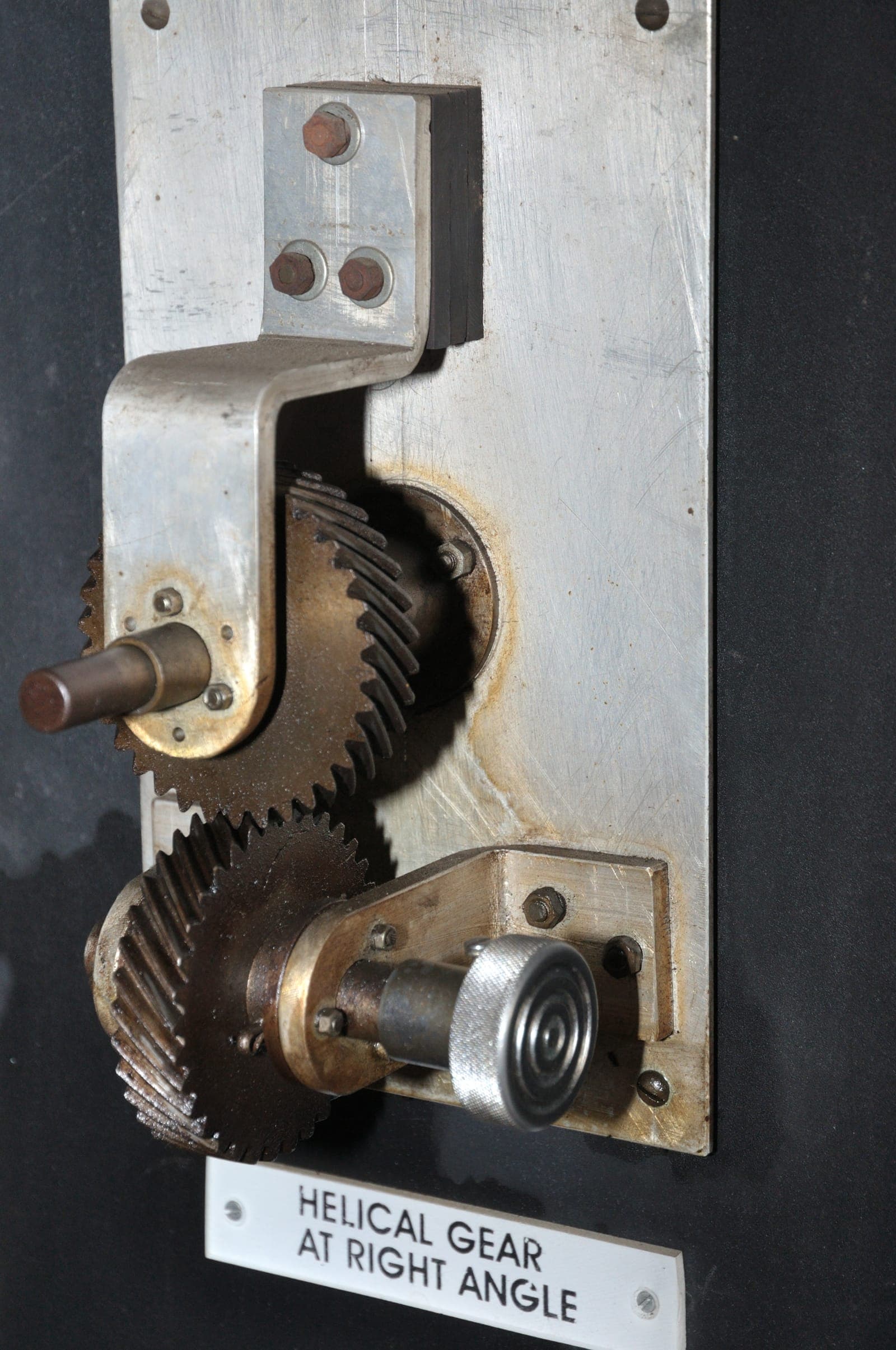 A Helical Gear, photographed for identification practice