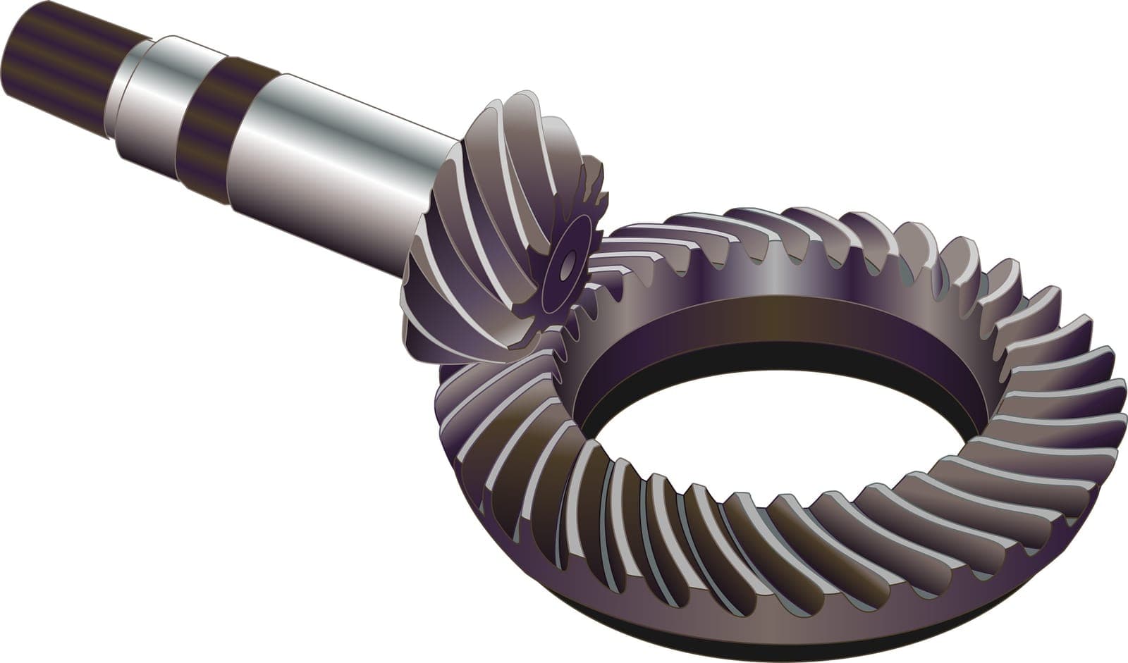 A Spiral Bevel Gear Set, photographed for identification practice